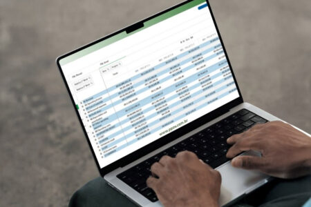 P-POV - Gestão Financeira para Energia